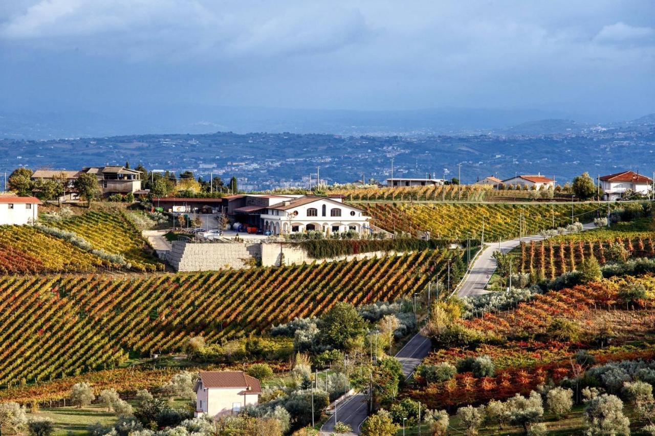 Cantine Iannella Torrecuso Bagian luar foto